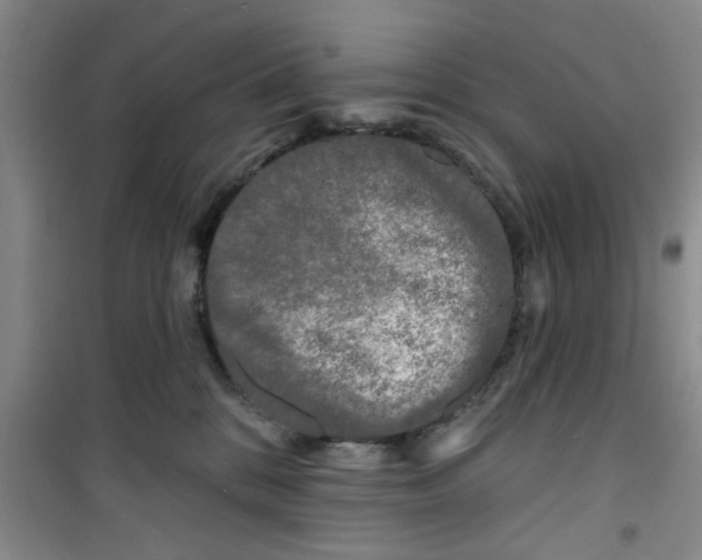 X0000100970328200807221216