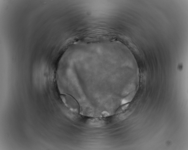 X0000100970331200807221216