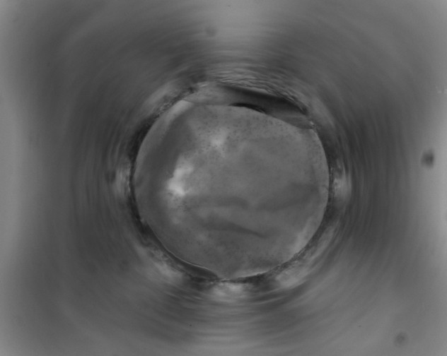 X0000100970332200807221216