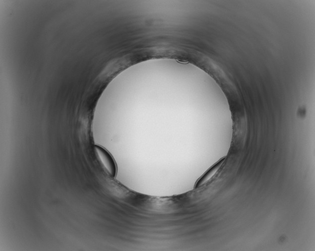 X0000100970333200807221216