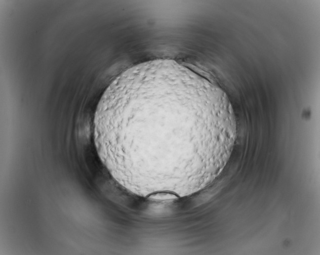 X0000100970334200807221216