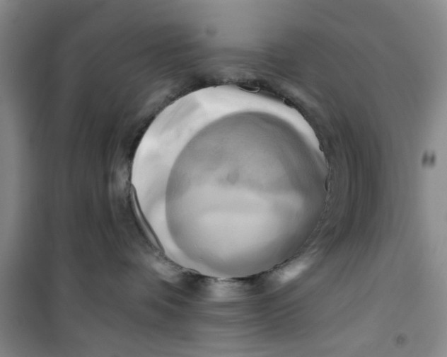 X0000100970336200807221216