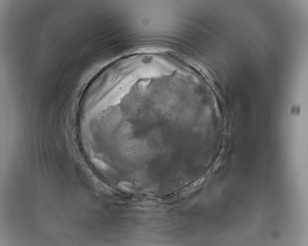 X0000100970337200807221215