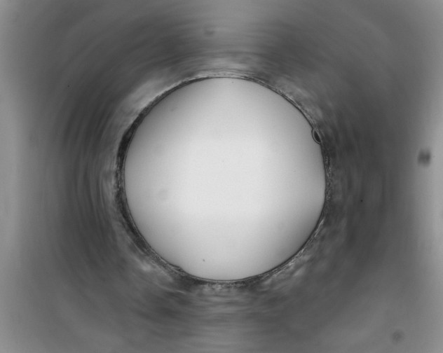 X0000100970338200807221215