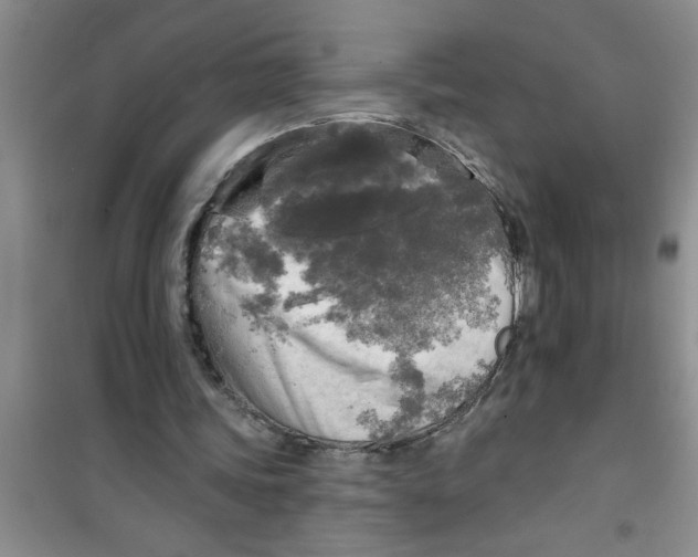 X0000100970339200807221215