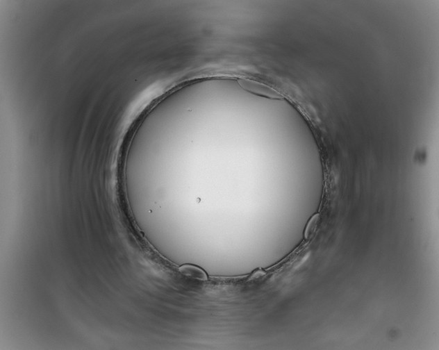 X0000100970340200807221215