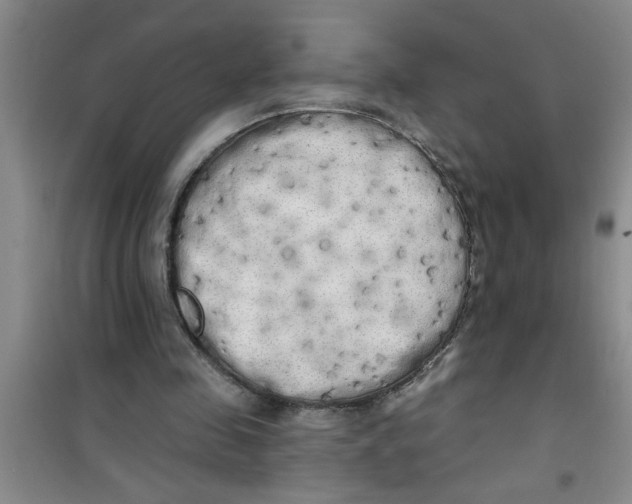 X0000100970341200807221215