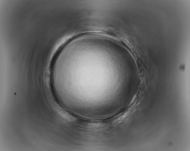 X0000100970342200807221215