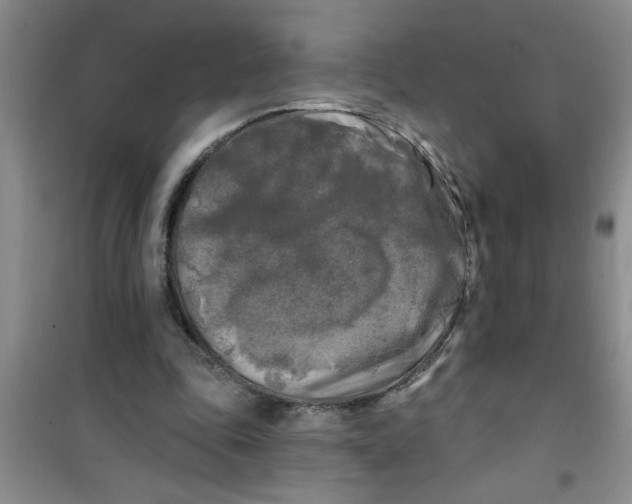 X0000100970343200807221215