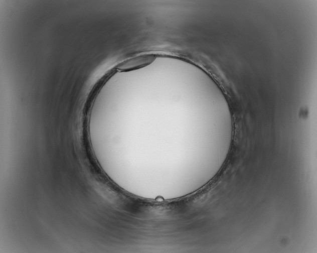 X0000100970344200807221215