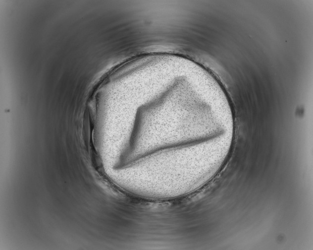 X0000100970345200807221215