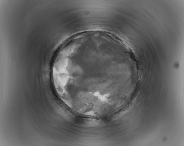 X0000100970347200807221215