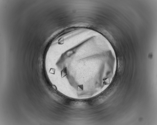 X0000100970348200807221215
