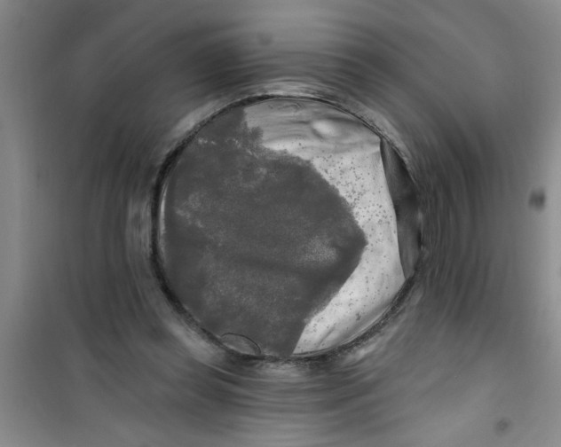 X0000100970349200807221215
