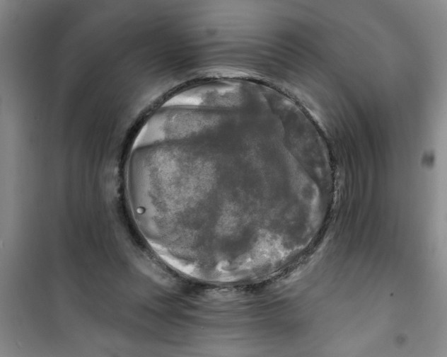 X0000100970351200807221215