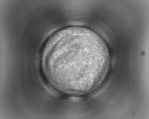 X0000100970352200807221215