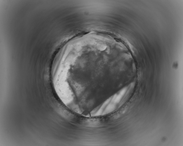 X0000100970353200807221215