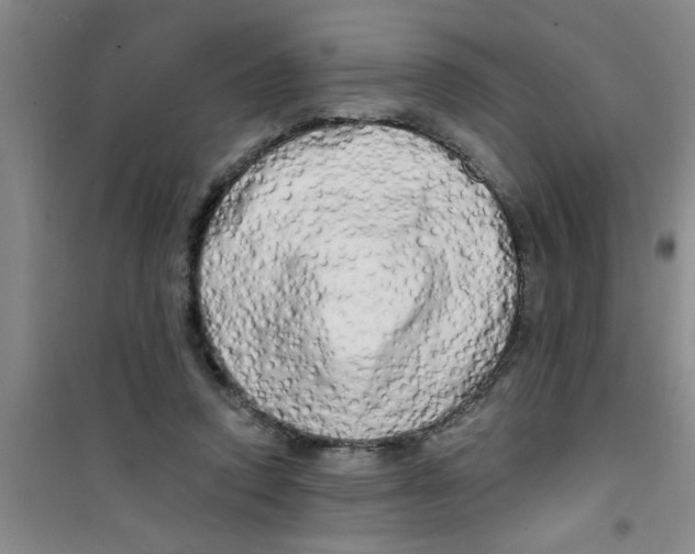 X0000100970354200807221215