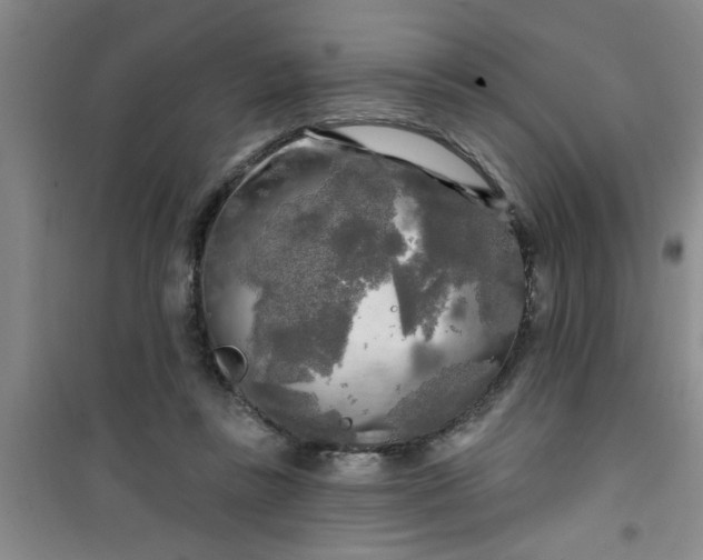 X0000100970355200807221215