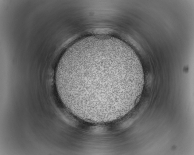 X0000100970356200807221215