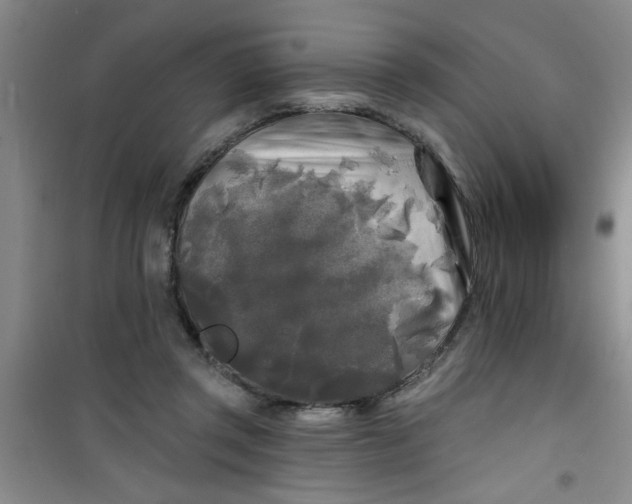 X0000100970357200807221215