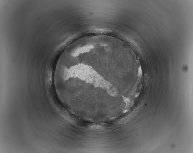 X0000100970358200807221215