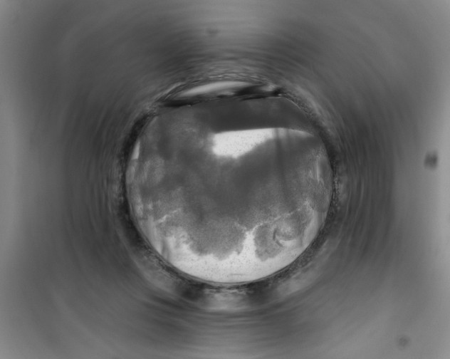 X0000100970359200807221215