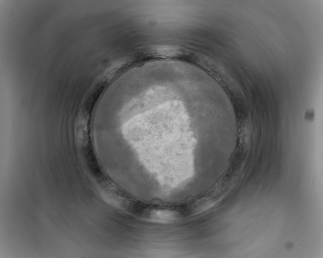 X0000100970360200807221215