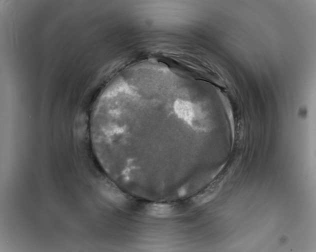 X0000100970361200807221215
