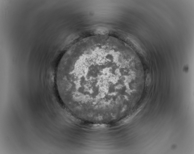 X0000100970363200807221215