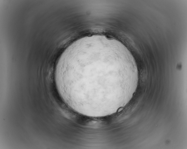 X0000100970364200807221215