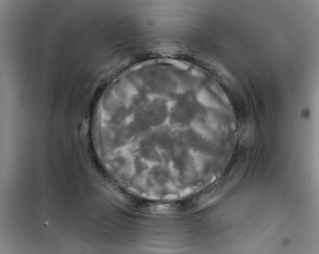 X0000100970365200807221215