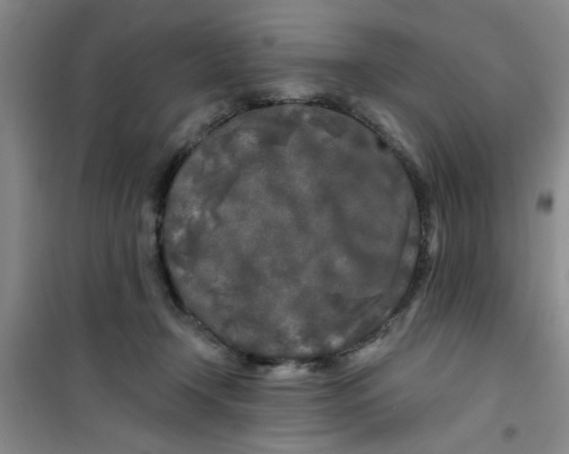 X0000100970366200807221216