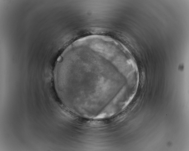 X0000100970367200807221216