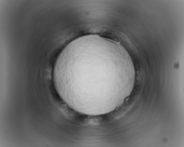 X0000100970368200807221216