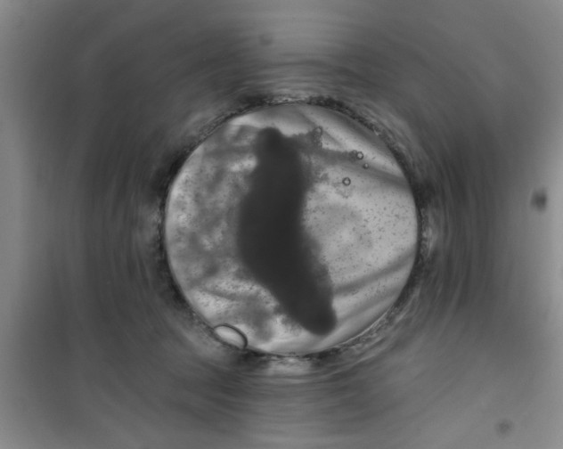 X0000100970369200807221216