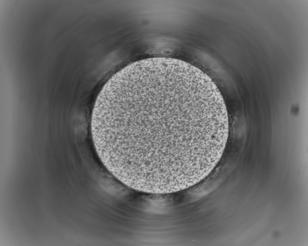 X0000100970370200807221216