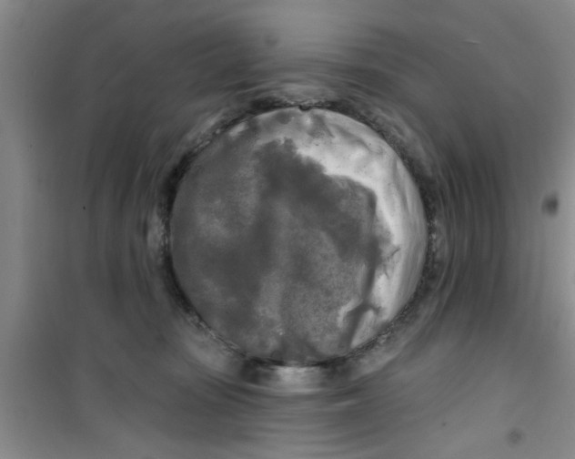 X0000100970371200807221216
