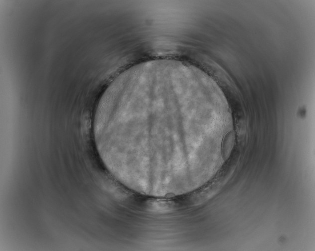 X0000100970372200807221216