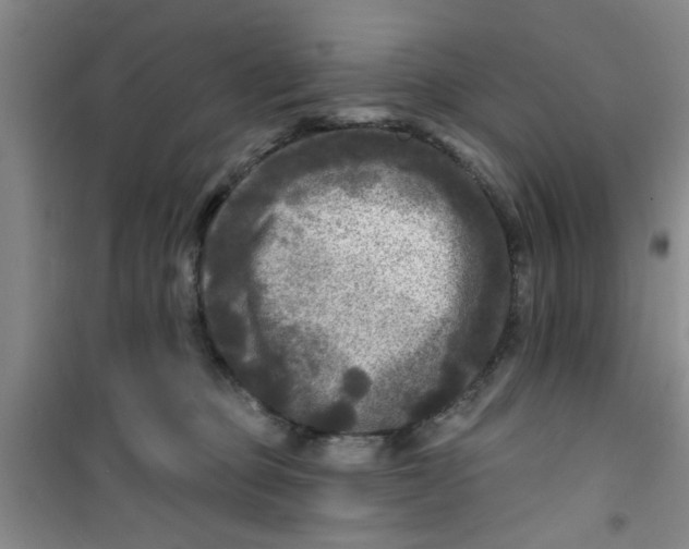 X0000100970373200807221216