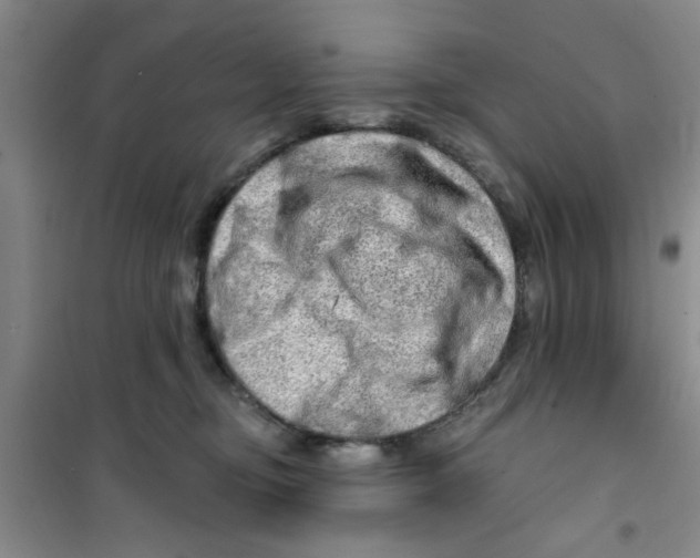 X0000100970374200807221216