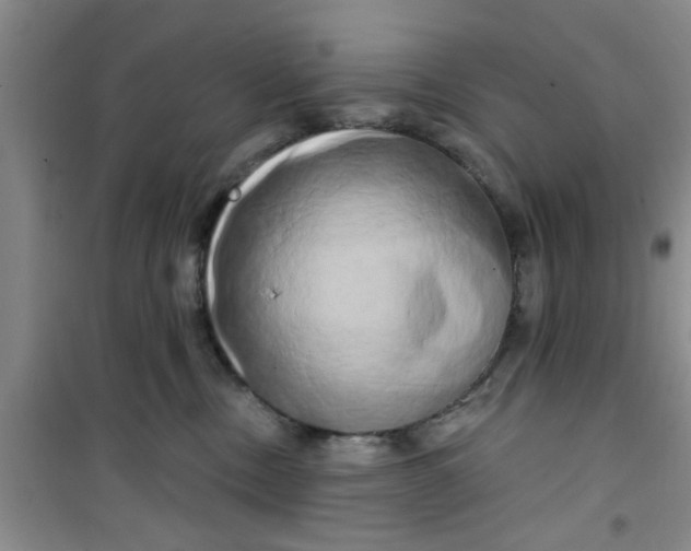 X0000100970378200807221216