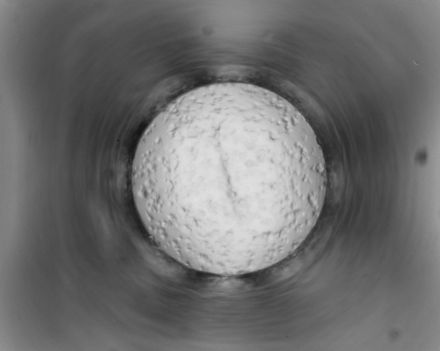 X0000100970379200807221216