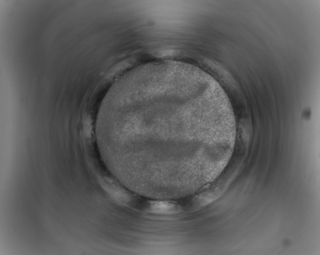 X0000100970380200807221216