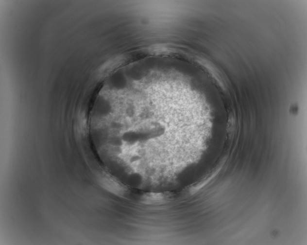 X0000100970381200807221216