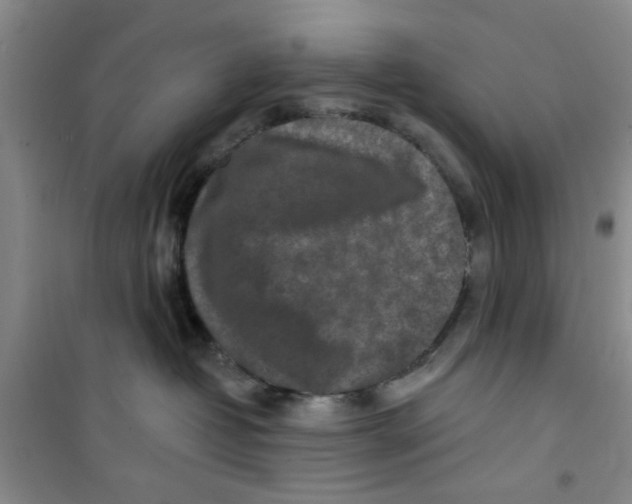 X0000100970382200807221216