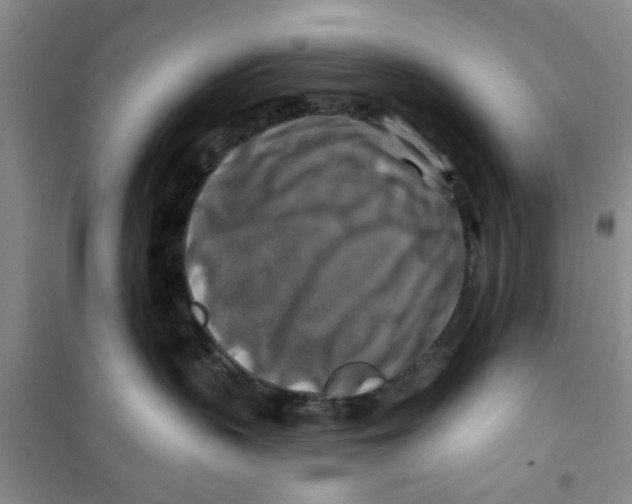 X0000100970383200807221216