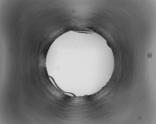 X0000100970384200807221216