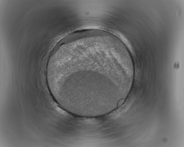 X0000100970385200807221215