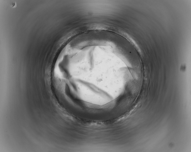 X0000100970386200807221215
